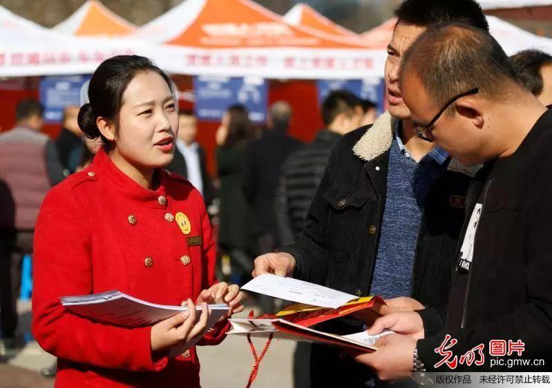 眉山東坡區(qū)最新職位招聘，職場人的首選選擇