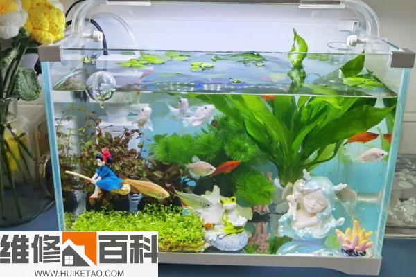 水族箱最新排名揭秘，巷弄深處的隱藏寶藏