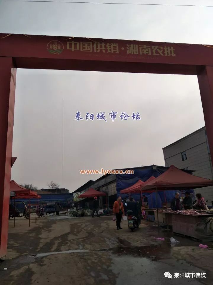 湘南大市場最新動態(tài)，一場溫馨的市場奇遇探索