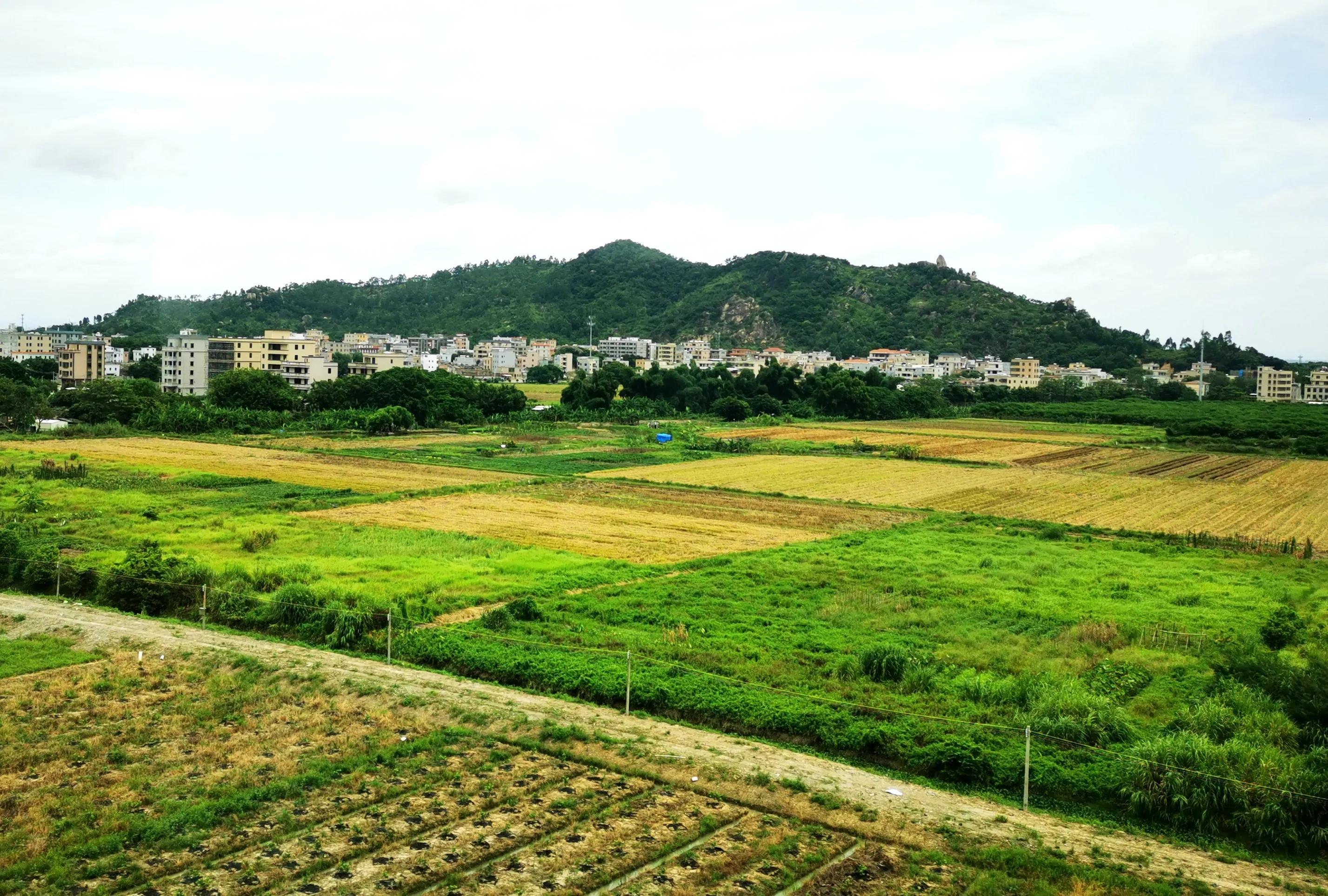 廈門至深圳高鐵提速最新動態(tài),廈門至深圳高鐵提速最新動態(tài)，速度與情感的雙重旅程