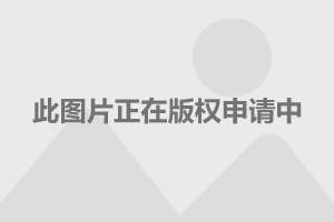 比亞迪上市動態(tài)及小巷特色小店的探索之旅！