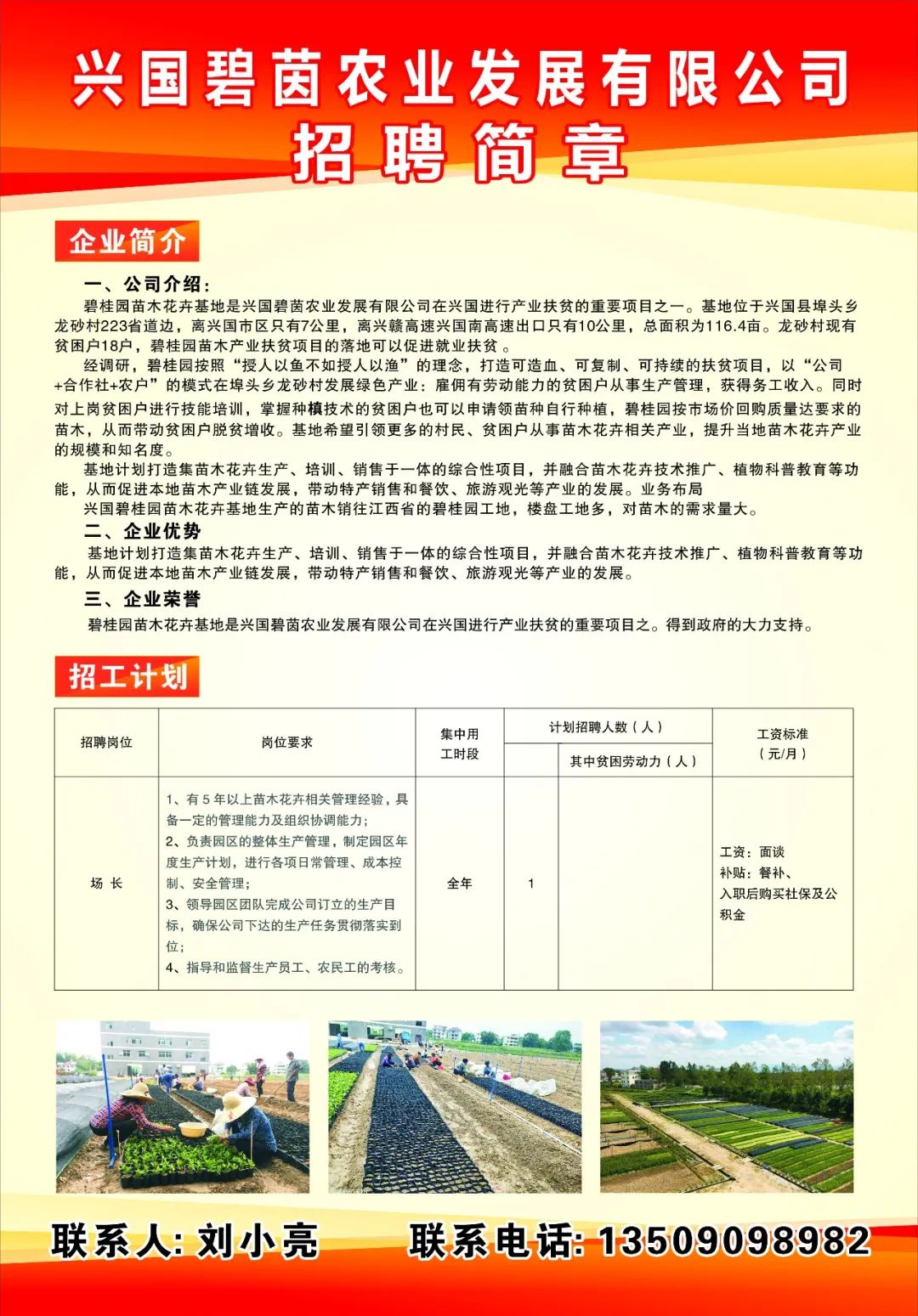 興國臨時(shí)工招聘信息，科技助力求職新紀(jì)元，輕松找到心儀工作