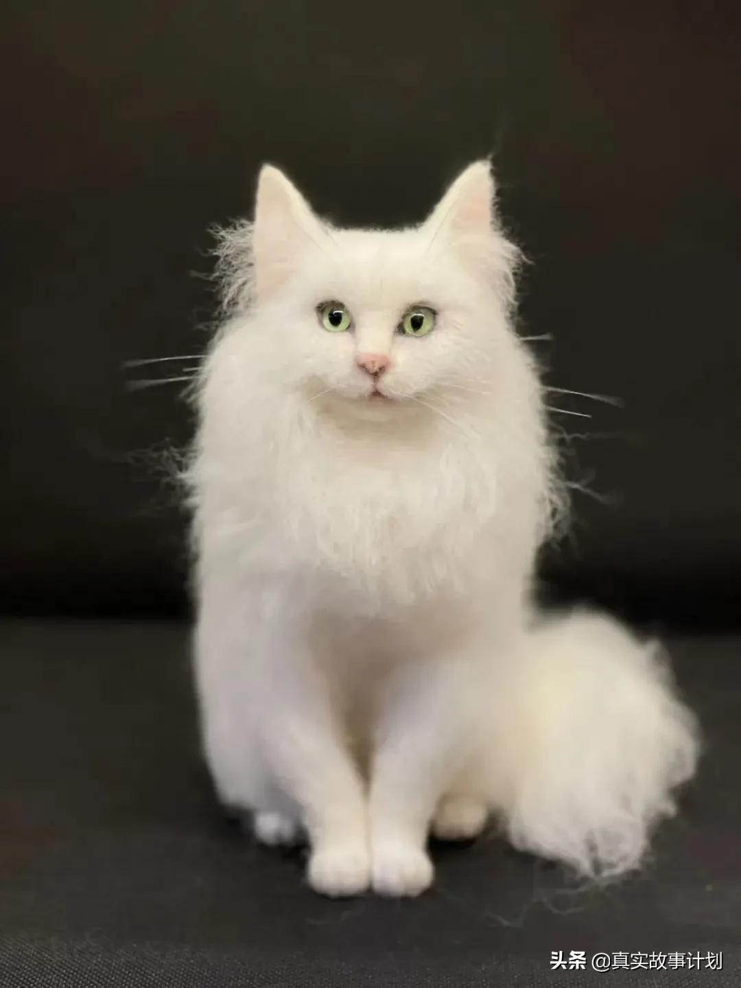 冰凍脫毛產品最新價格概覽