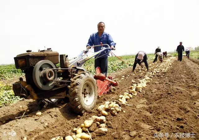 復(fù)合實(shí)木多層板 第232頁(yè)