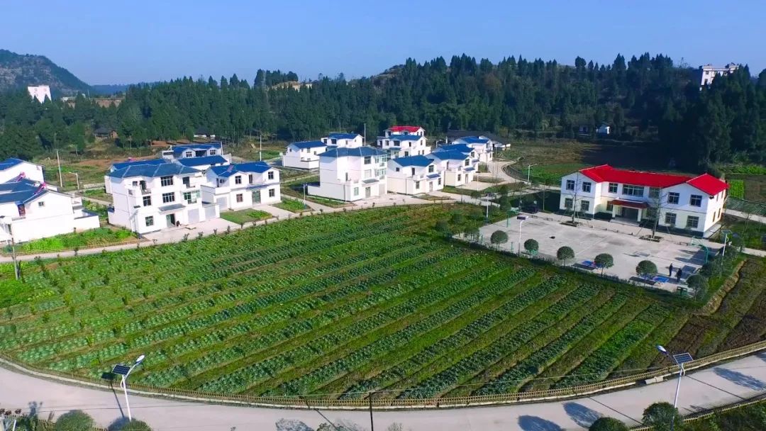 恩陽區(qū)萬安鄉(xiāng)最新動態(tài)，變化中的自信與成就感展示