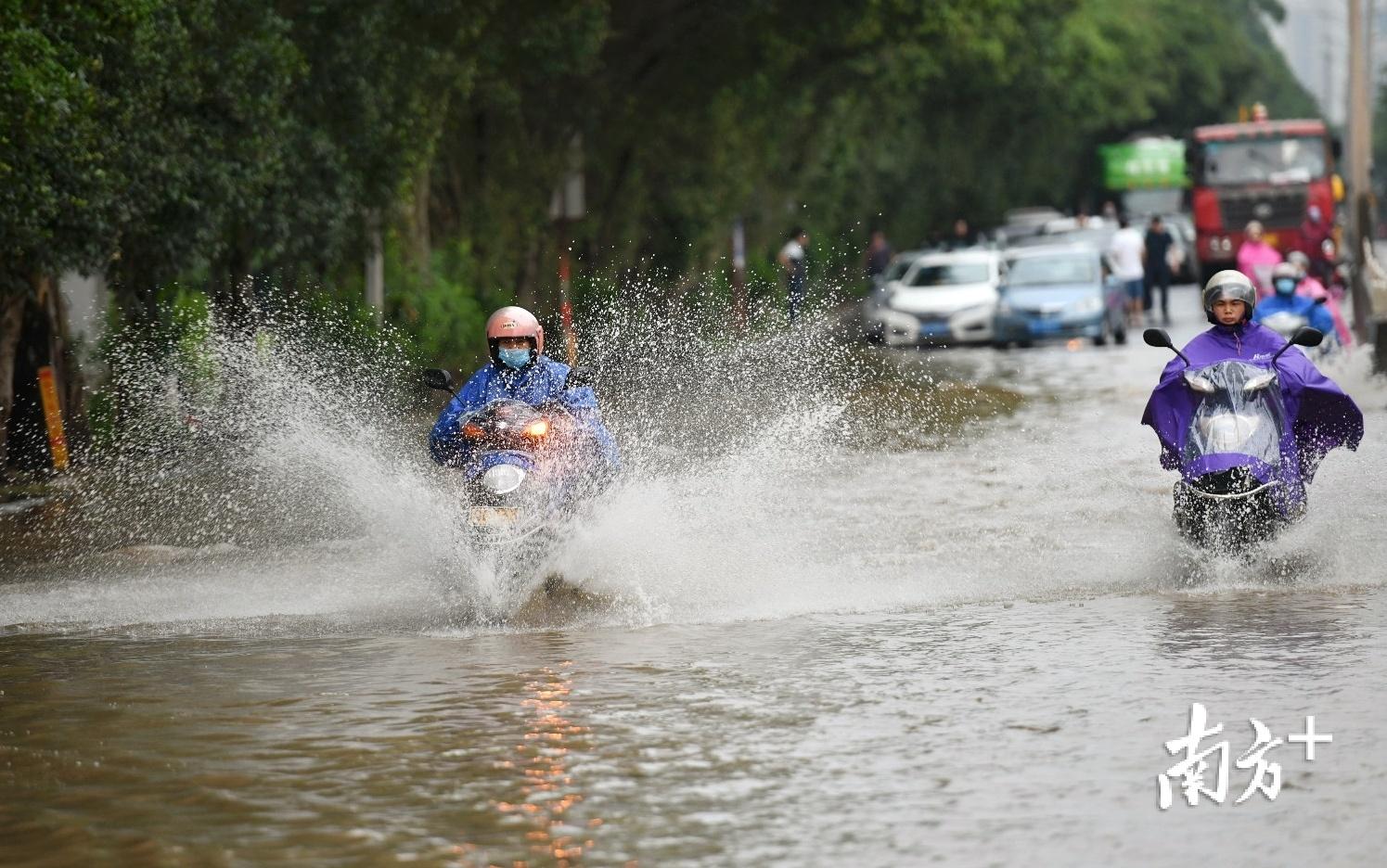 清遠(yuǎn)華僑農(nóng)場最新動(dòng)態(tài)更新
