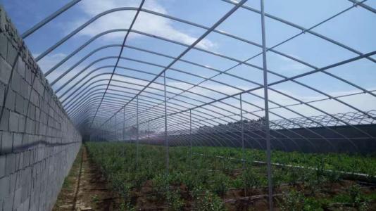 最新大棚溫室技術及其觀點論述
