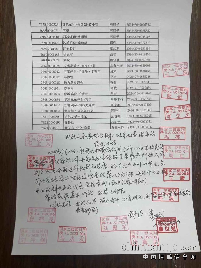 新疆賽鴿公棚最新公告揭秘，小巷特色小店與未知奇妙世界的探索！
