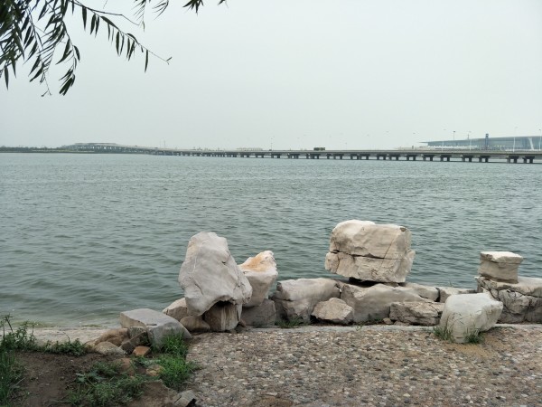金海湖新區(qū)最新項(xiàng)目啟航，學(xué)習(xí)成就夢(mèng)想，共創(chuàng)未來(lái)征程
