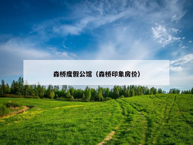 池州森橋印象最新房價詳解，初學(xué)者與進階用戶指南