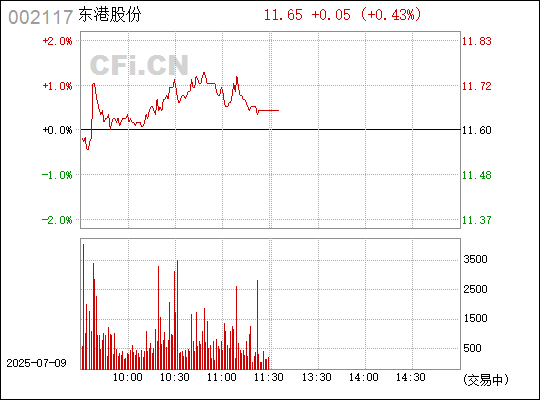 東港股份引領(lǐng)行業(yè)新動向，鑄就未來新篇章，最新消息揭秘！