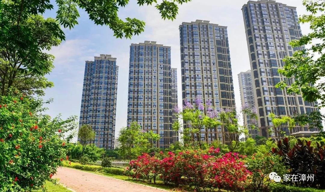 漳州國(guó)貿(mào)潤(rùn)園最新房?jī)r(jià)揭秘，家的故事與溫馨家園的呈現(xiàn)