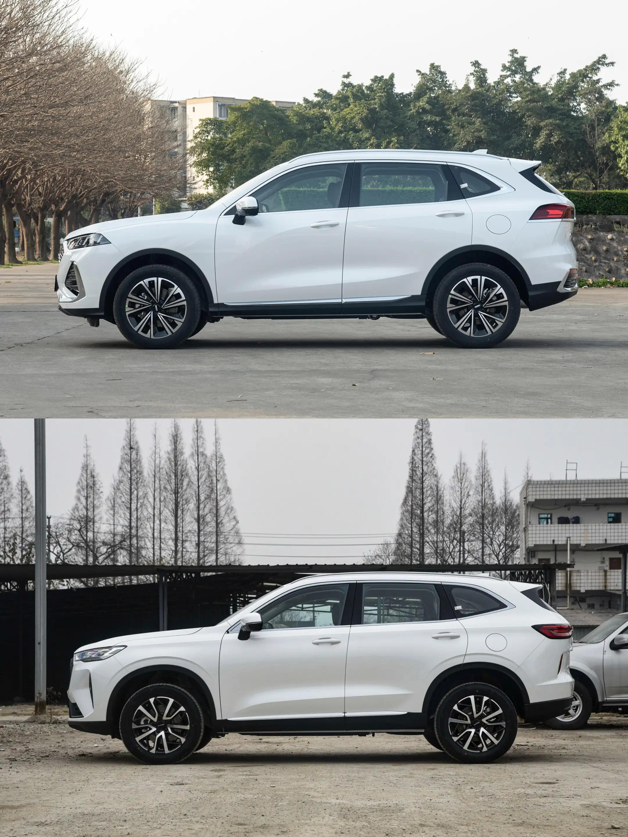 敢問(wèn)路在何方最新動(dòng)態(tài)，探索未來(lái)科技與智能生活的新篇章