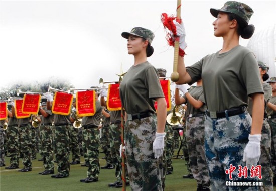 我的女兵我的團全新背景、事件與影響深度解析，揭秘最新動態(tài)與影響！